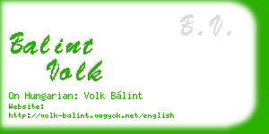 balint volk business card